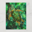 Search for sea turtle art postcards Ocean