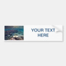 Search for live or dive bumper stickers Fish