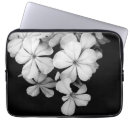 Search for b w electronics Botanical