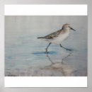 Search for piper art Bird
