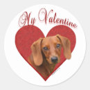 Search for dachshund valentine stickers Dog