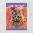 Search for silky cards Australian silky terrier
