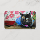 Search for kitty business cards Calico