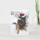 Search for colorado christmas cards Snow