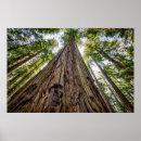 Search for danita delimont posters Big