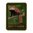 Search for panda magnets Nature