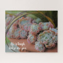 Search for succulent puzzles Green