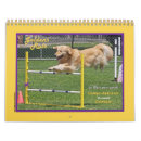 Search for funny dog calendars Golden retriever