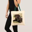 Search for chocolate lab bags Puppy