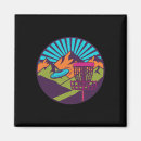 Search for flying disc magnets Anhyzer