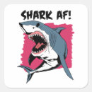 Search for shark design stickers Sharks