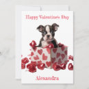 Search for boston terrier valentines day cards Pet