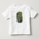 Search for creeks clothing River