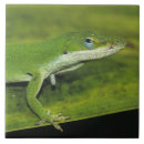 Search for outdoor tiles Woodland