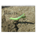 Search for insect calendars Grasshopper