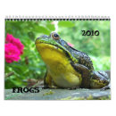 Search for frog photography Wild