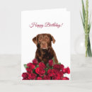 Search for dog rose birthday cards Roses
