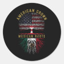 Search for mexican american stickers America land