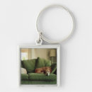 Search for dog sleeping key rings Indoors