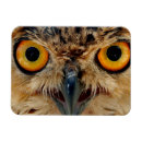Search for attention magnets Attentive