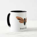 Search for cicadas mugs Insect