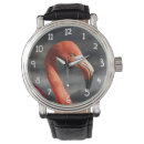 Search for flamingo watches Nature