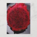 Search for fruit slices postcards Freshness