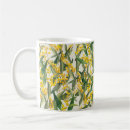 Search for wattle Flower