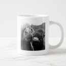 Search for horse smiling mugs Happy