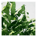 Search for banana tree art Leaves