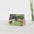 Search for draughts cards White