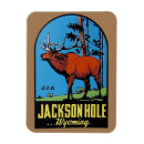 Search for jackson magnets Jackson hole wyoming