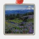 Search for large format christmas tree decorations Scenic