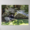 Search for habitat posters Bear