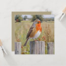 Search for redbreast cards Wildlife