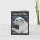 Search for dog fathers day cards Labrador retriever
