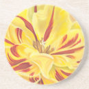 Search for powerful coasters Flower