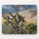 Search for mojave mouse mats Usa