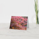 Search for orange red cards Nature
