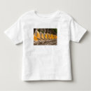 Search for siam tshirts Religious