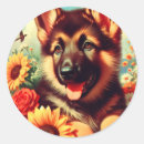 Search for german round stickers Pets