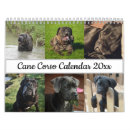 Search for big calendars Cute