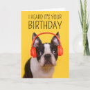 Search for boston terrier cards Dog
