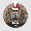 Search for jumping christmas tree decorations Spider