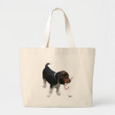 Search for beagle holiday accessories Puppy