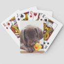 Search for chocolate playing cards Puppy