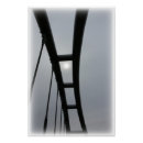 Search for pales posters Grey