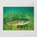 Search for toting postcards Usa