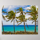 Search for coco posters Sea