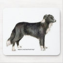 Search for herding dog electronics Sheepdog